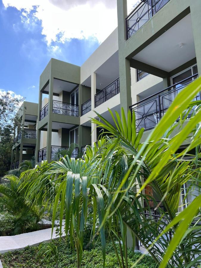 Lol-Ha Hotel Boutique Cancun Dış mekan fotoğraf